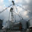 Michl Farms